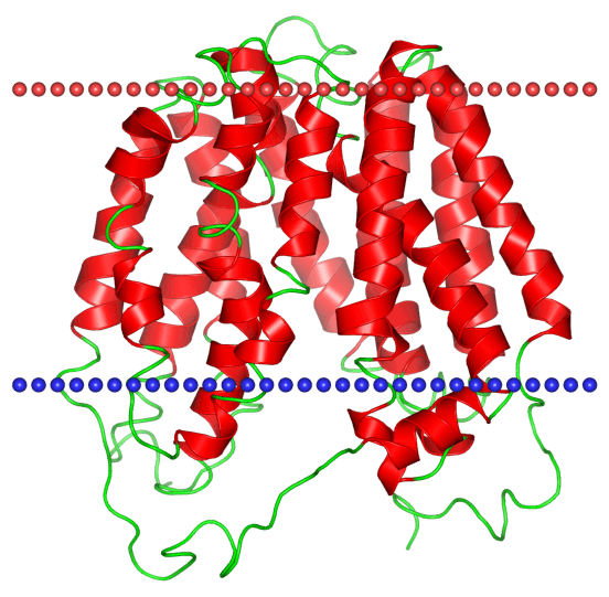 Mempro™ Plant-Based Major Facilitator Superfamily (MFS) Production