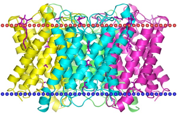 Mempro™ Plant-Based Major Instrinsic Protein (MIP)/FNT Superfamily Production