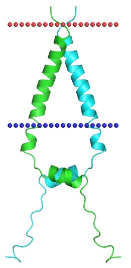 Mempro™ Plant-Based Receptor-Type Kinase Production