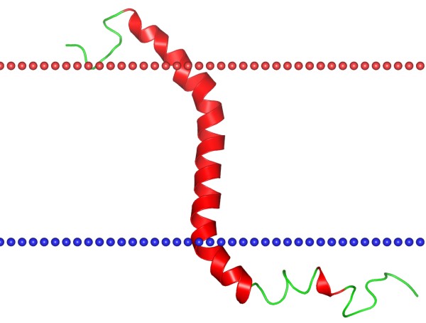 Mempro™ Plant-Based Single-helix ATPase Regulators Production