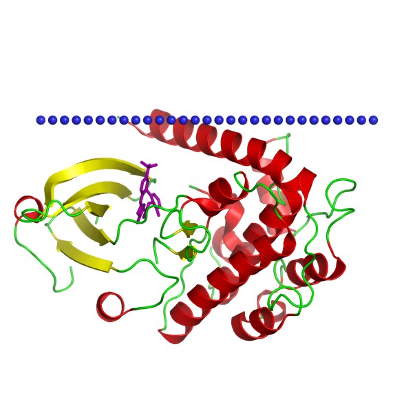 Mempro™ Protein Kinase Superfamily Production Using Virus-Like Particles