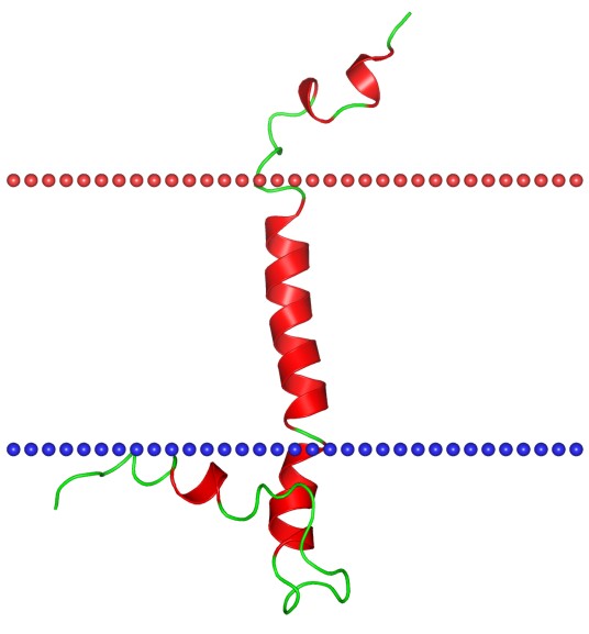 Mempro™ Single-helix ATPase Regulators Production Using Virus-Like Particles