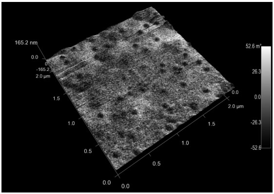 Mempro™ Virus-Like Particles (VLPs) Magnetization Modification