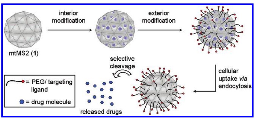 Mempro™ Virus-Like Particles (VLPs) Small Molecule Attachment Modification