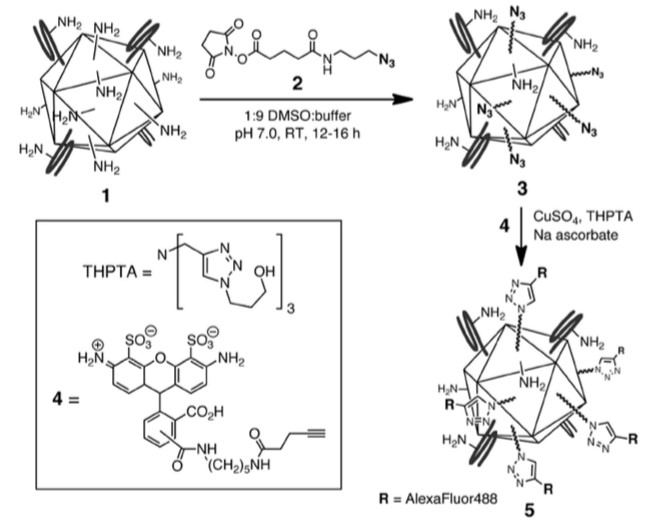 Mempro™ Virus-like Particles (VLPs) in Cell Targetin