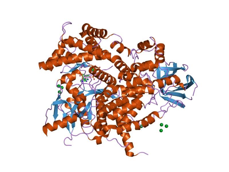 MemproTM Cell-Based C2 Domain-Containing Protein Production