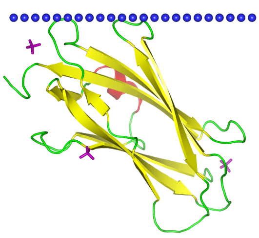 MemproTM Cell-Based Immunoglobulin-Like Superfamily (E Set) Protein Production