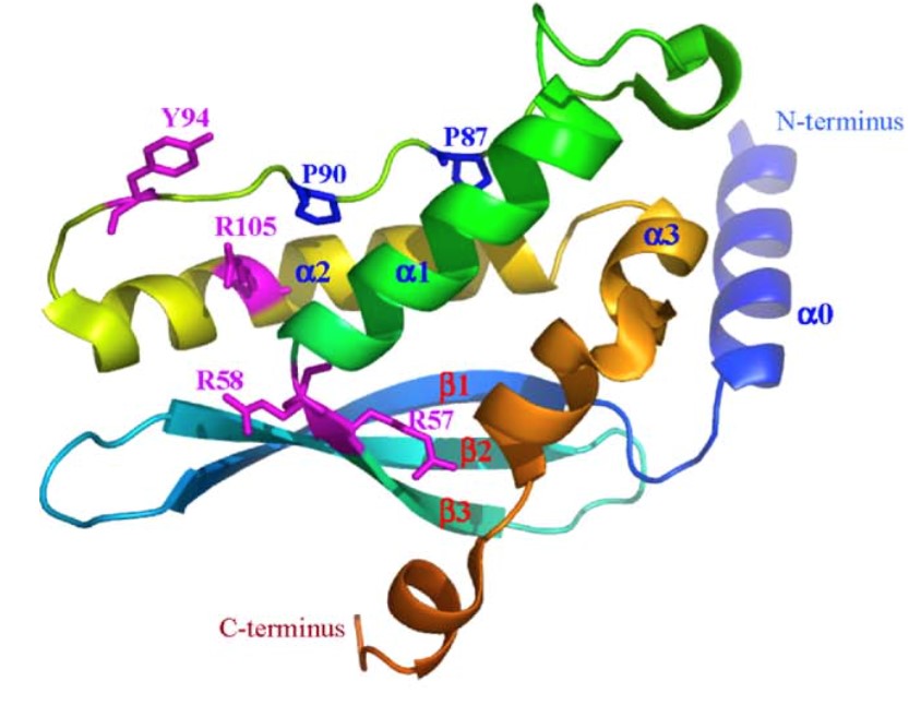 MemproTM Cell-Based PX Domain-Containing Protein Production