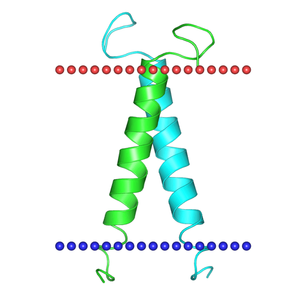 MemproTM Cell-Based Receptor-Type Kinase Production