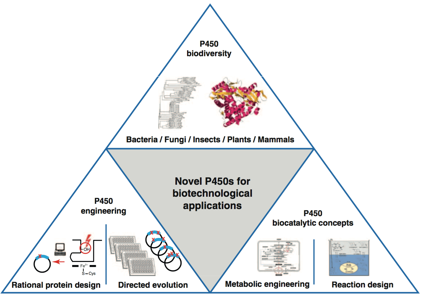 Mempro™ Cell-Free Cytochrome P450 Production