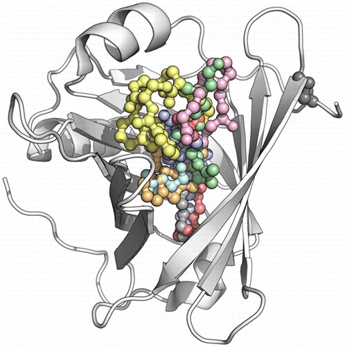 MemproTM Cell-Free Lipocalin Production