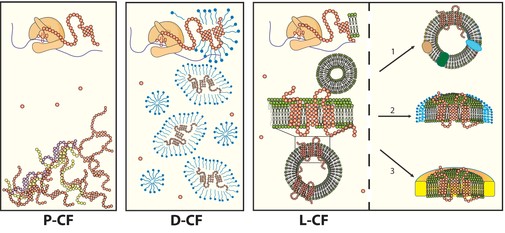 MemproTM Cell-Free Rhodopsin Production