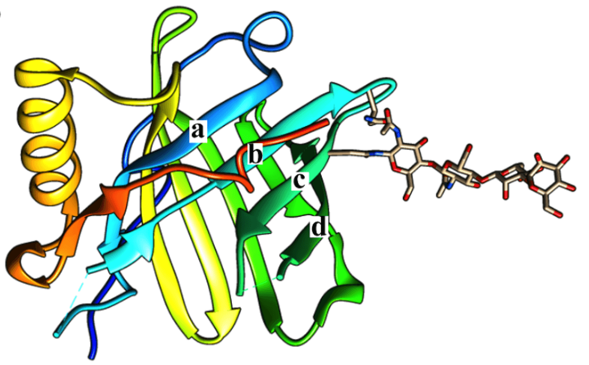 MemproTM Detergent-Free Lipocalin Production