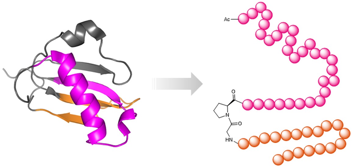 MemproTM Detergent-Free Peptide Fragments of Transmembrane Protein Production