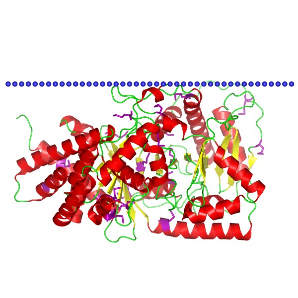 Mempro™ Cell-Based Co-A dependent acyltransferases production