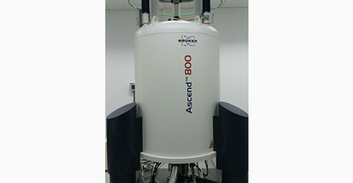 Bruker AVANCE 900 MHz spectrometer