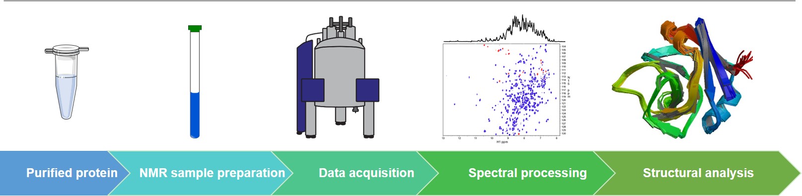 NMR Spectroscopy Services