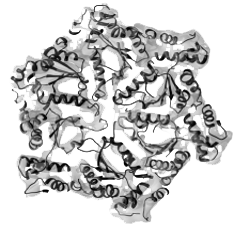 Cryo-EM Services