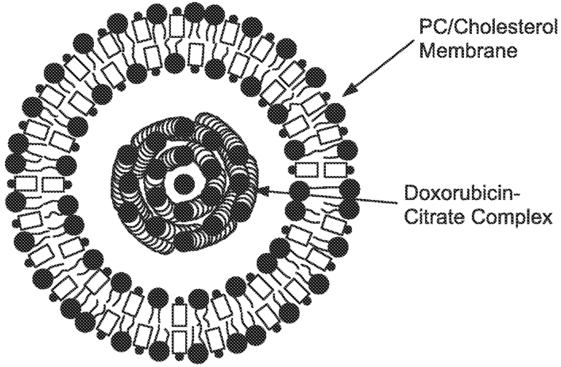 Non-PEGylated Liposomes(NPL) Production