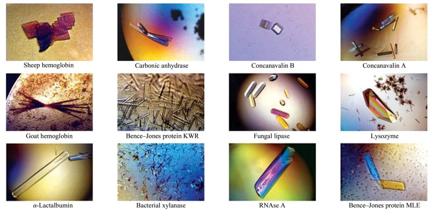 Protein crystals of different quality and size obtained from an initial screen