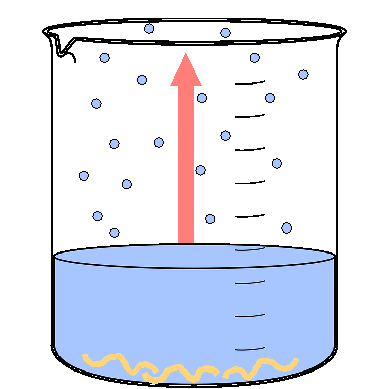 Peptide Crystallization