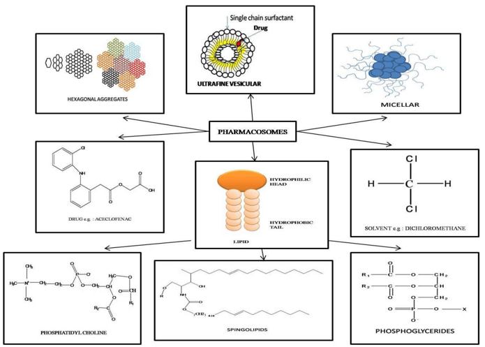 Pharmacosomes Production