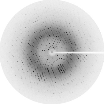 X-ray screening and dataset collection