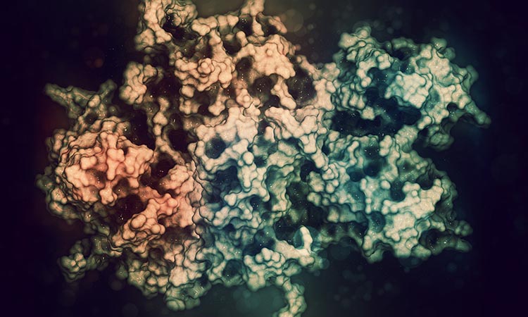 Protein Thermodynamics Analysis