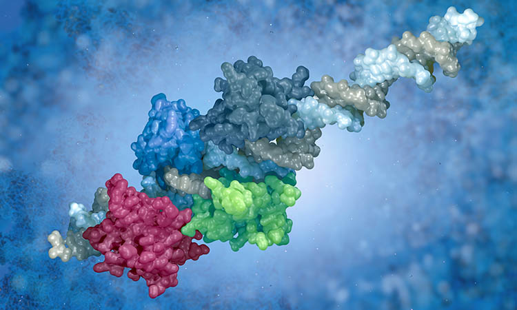 Protein Thermodynamics Analysis