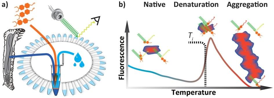 MagHelix? Protein Thermal Shift Assay (PTSA)