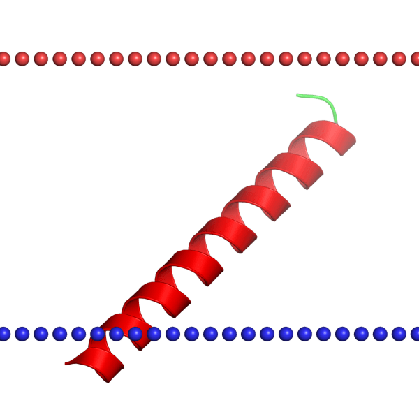 Custom MemPro? Protein Jagged Services