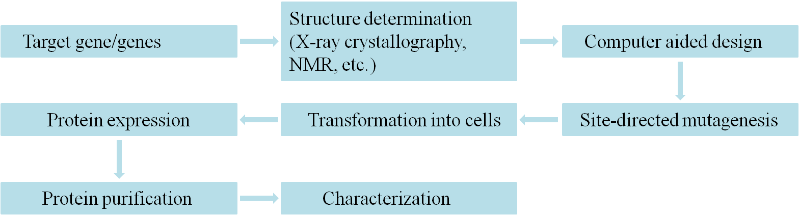 Rational Design