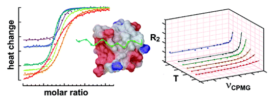 Figure 1. Reaction Kinetics can be calculated by fitting experimental curves