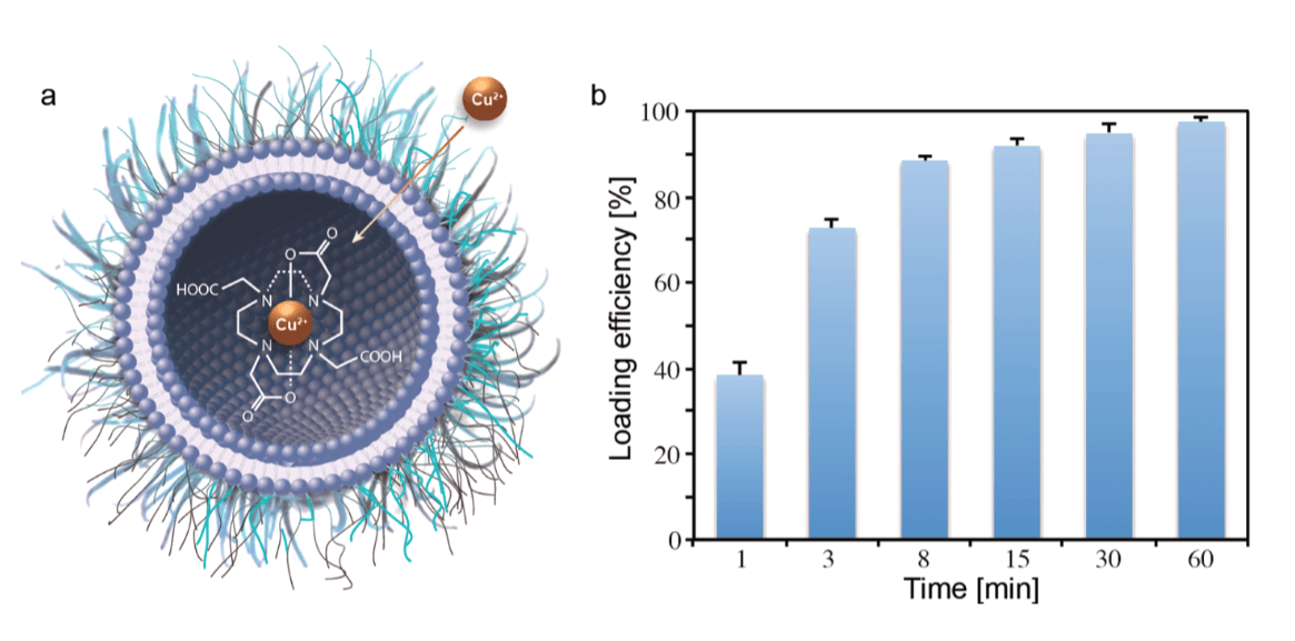 Figure 1. Schematic diagram of loading of [Cu-64]2+ into liposomes. [Cu-64]2+ traps inside the liposome and forms a complex with the encapsulated chelator (DOTA), enhancing the permeability (a); Loading efficiency of liposomes plotted as a function of time by using radio-TLC (b). (A. E. Hansen, et al., 2016)