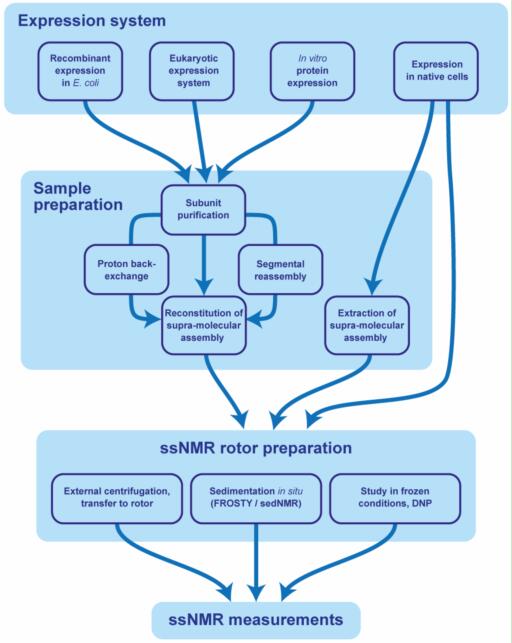 Membrane Protein Structure Determination by Solid-state NMR
