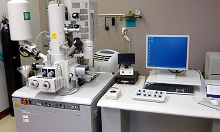 Cryo-Electron Microscopy (Cryo-EM) Services