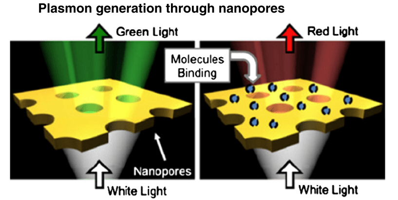 Next-generation  SPR instrumentation (Biochim Biophys Acta. 2014)