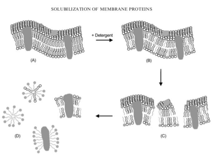 Solid-state NMR 