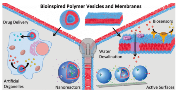 Solid-state NMR 