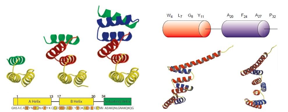 Custom MemPro? TPR Alpha-Helical Repeat Proteins