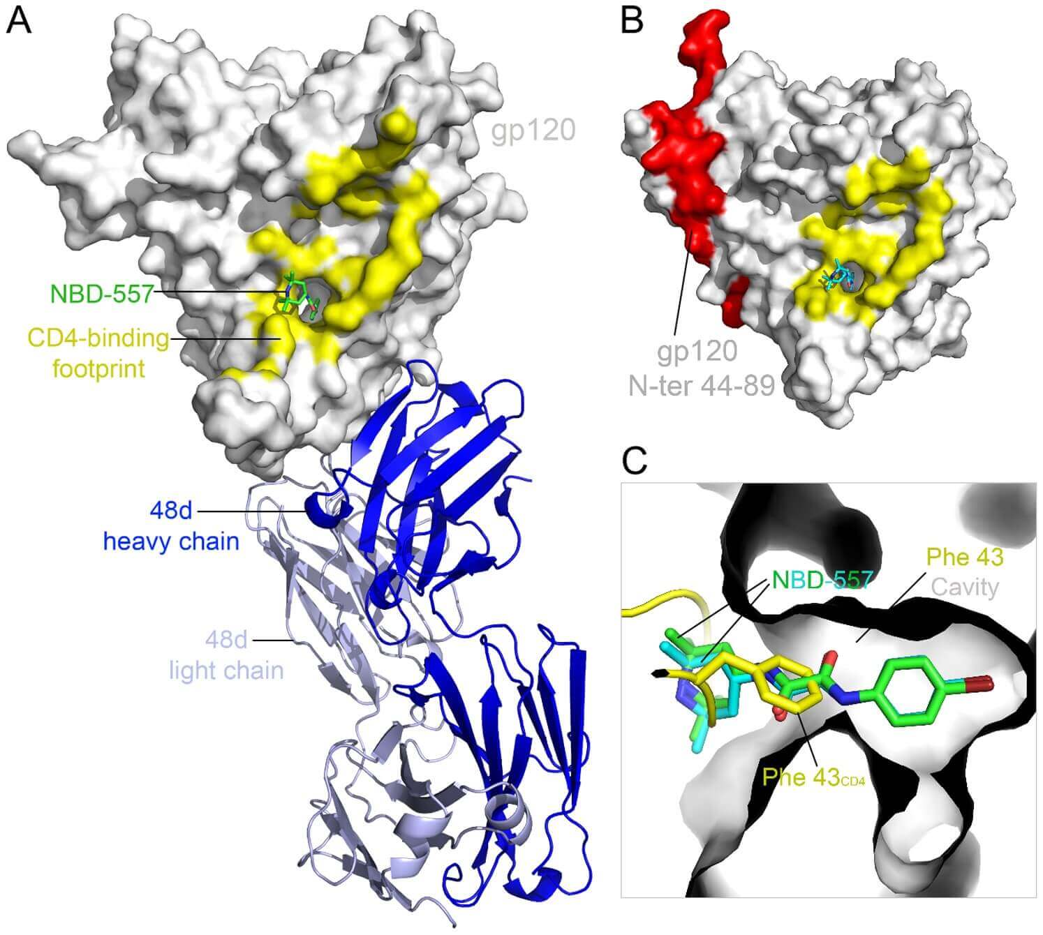 Viral Envelope Glycoprotein Crystallization