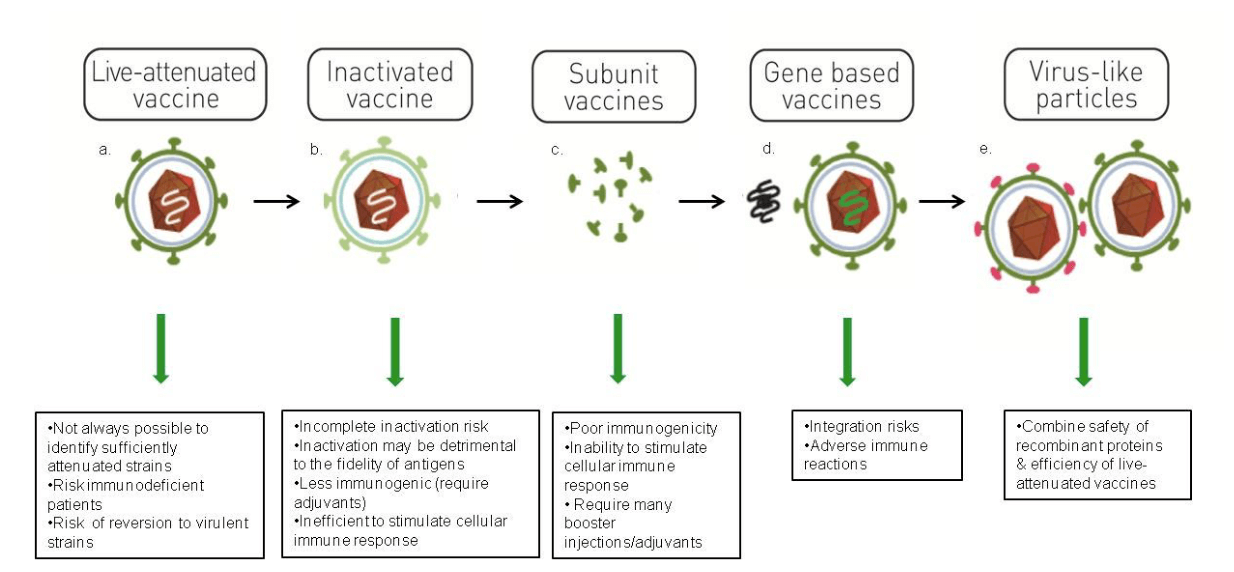 Types of vaccines