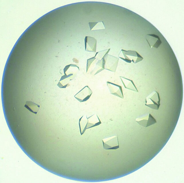 Optimization of crystallization conditions