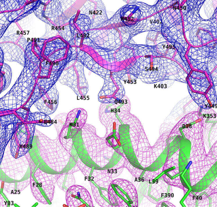 Data analysis and Structure determination