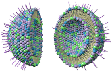 Liposome products