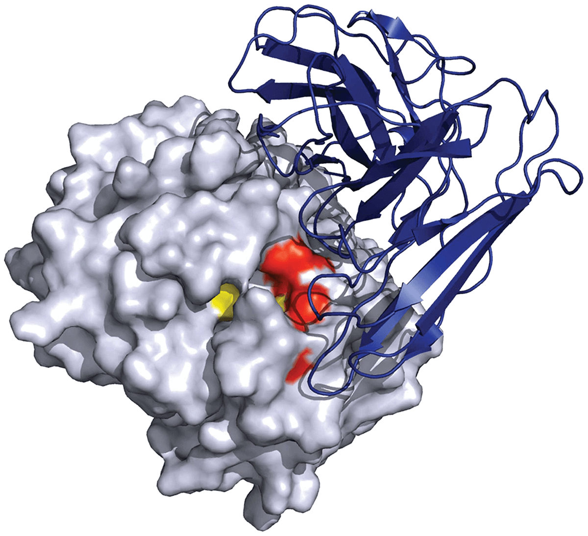 Cryo-EM Services