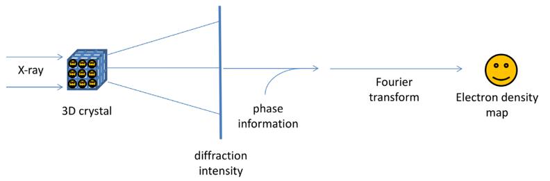 The physics and mathematical principles of X-ray crystallography to solve a structure