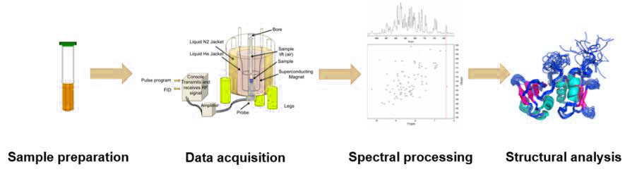 The process of nuclear magnetic resonance technology