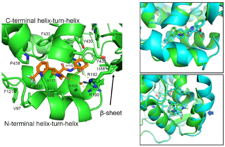 X-ray structure of plant DHODH bound to tetflupyrolimet supporting herbicide target validation