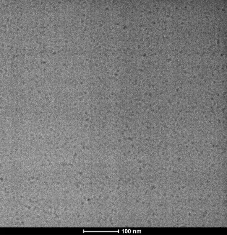 Cryo-TEM image of bacterial lipid nanodiscs supporting particle morphology and size analysis